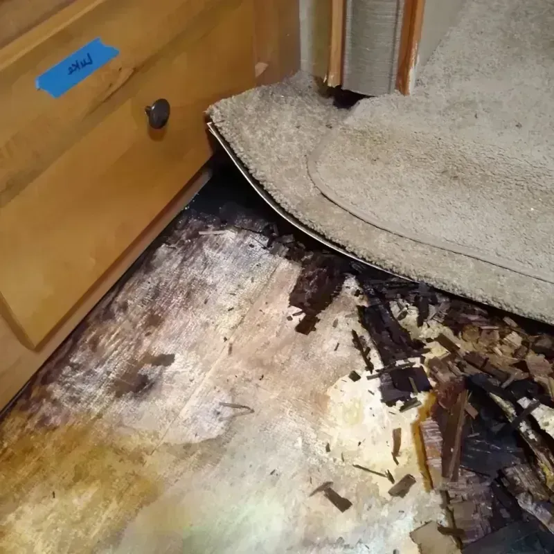 Wood Floor Water Damage in Woodacre, CA